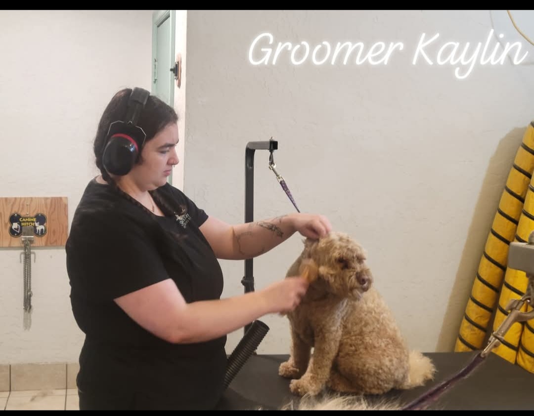 kaylin kaylin